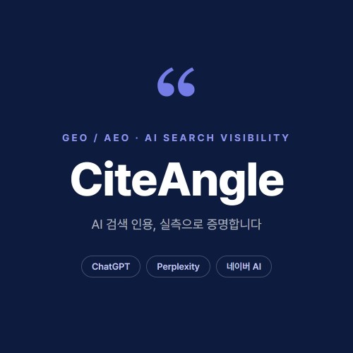 AI 검색 가시성 진단 \